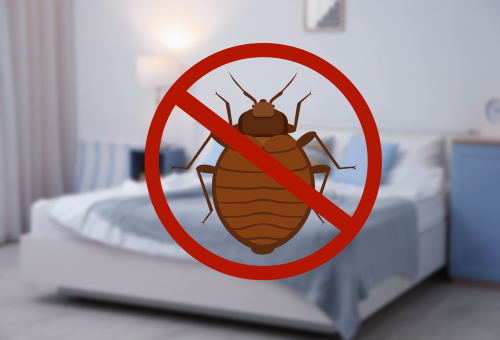 Anti Bug Circle with Interior bedroom in background