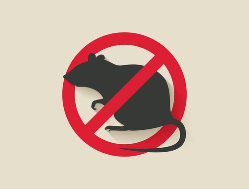 Anti Rat Graphic Representing Rodent Control