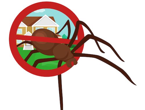 Cartoon Australian Spider in Spider Control Red Circle