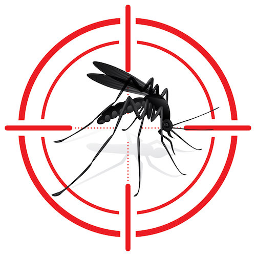 Mosquito in red crosshairs representing How to get rid of mosquitos