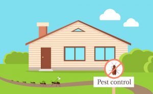 Residential Pest Control Cartoon with Ants leaving home