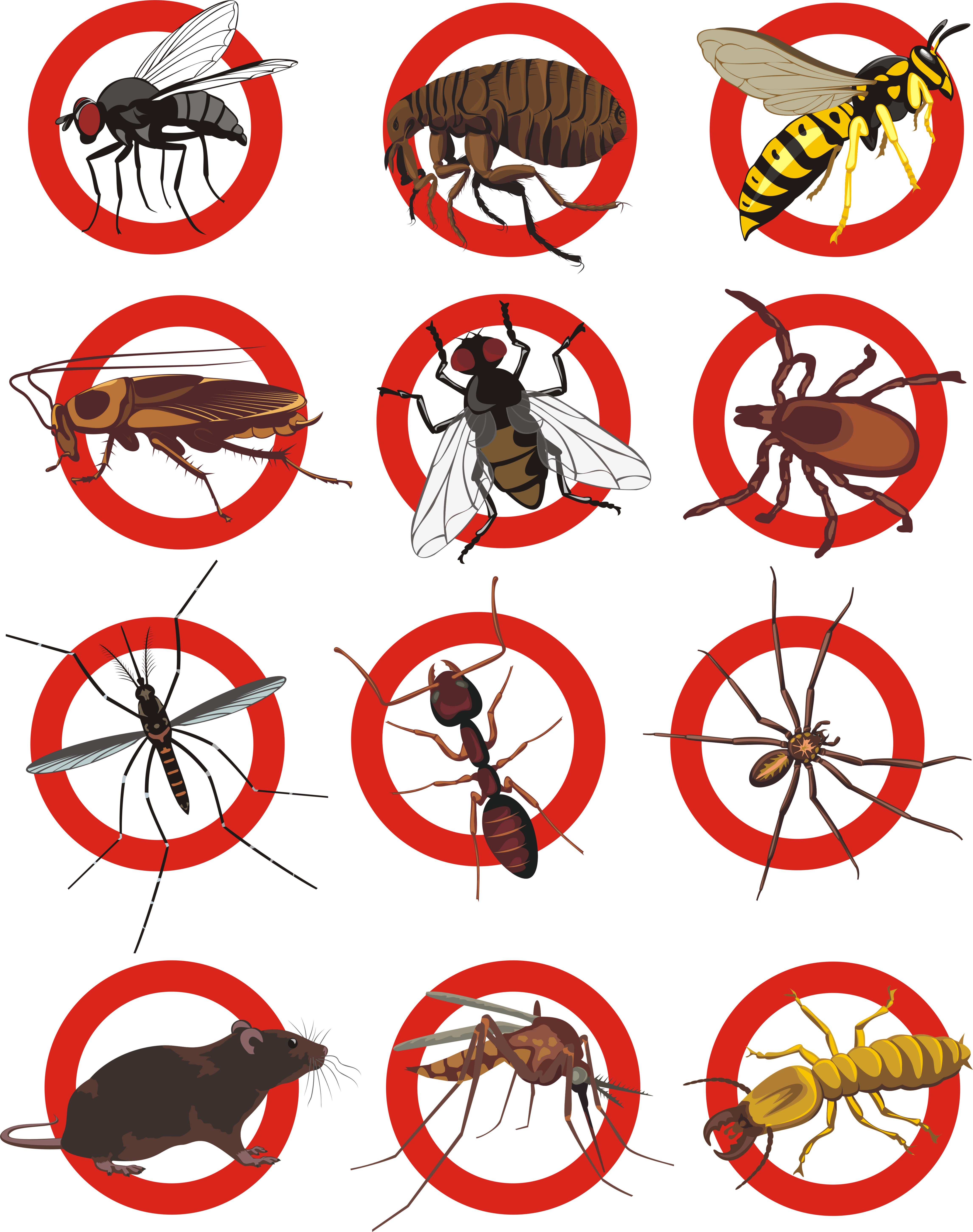 Assortment of bugs in red target circles