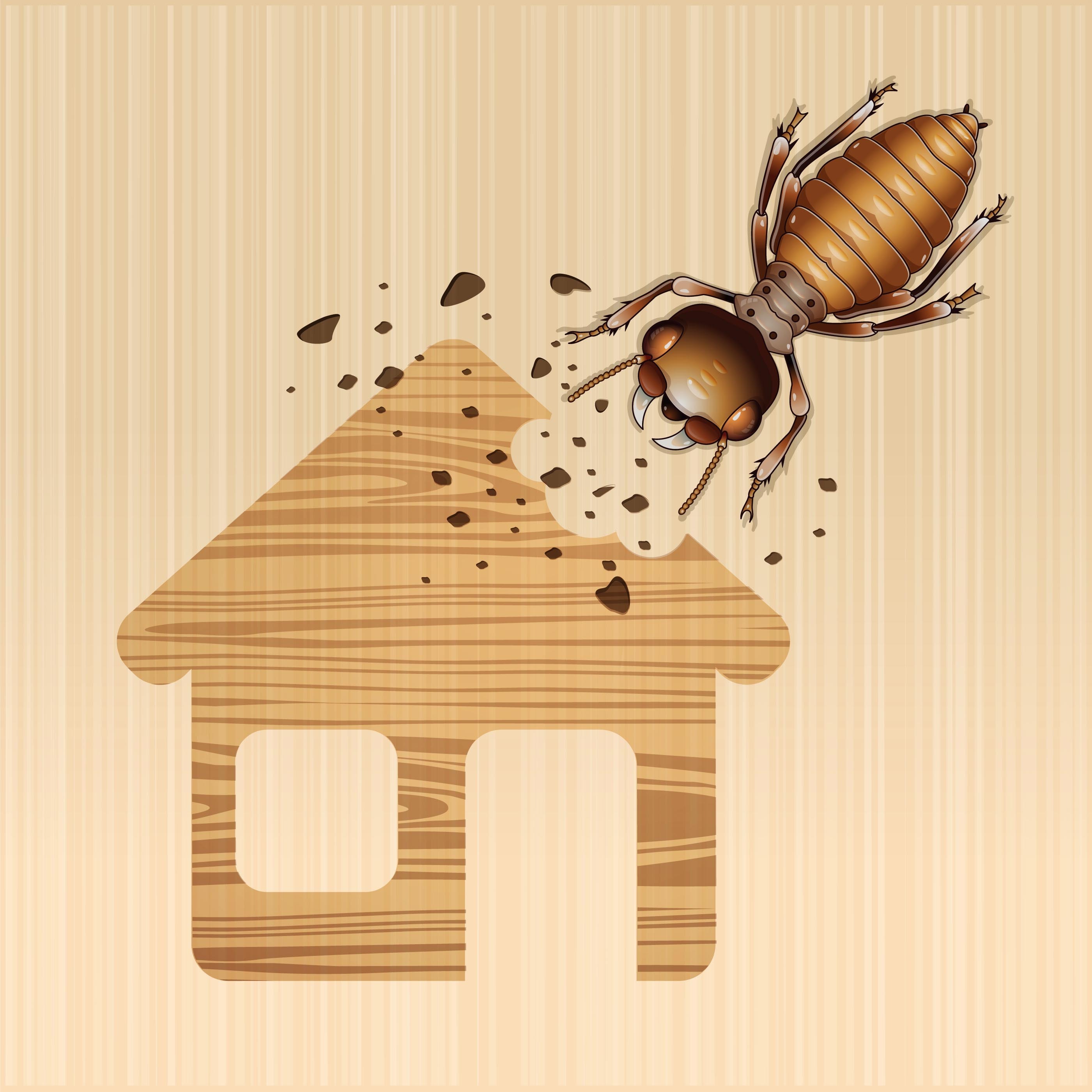 termite-damage-house-vector (88907749)