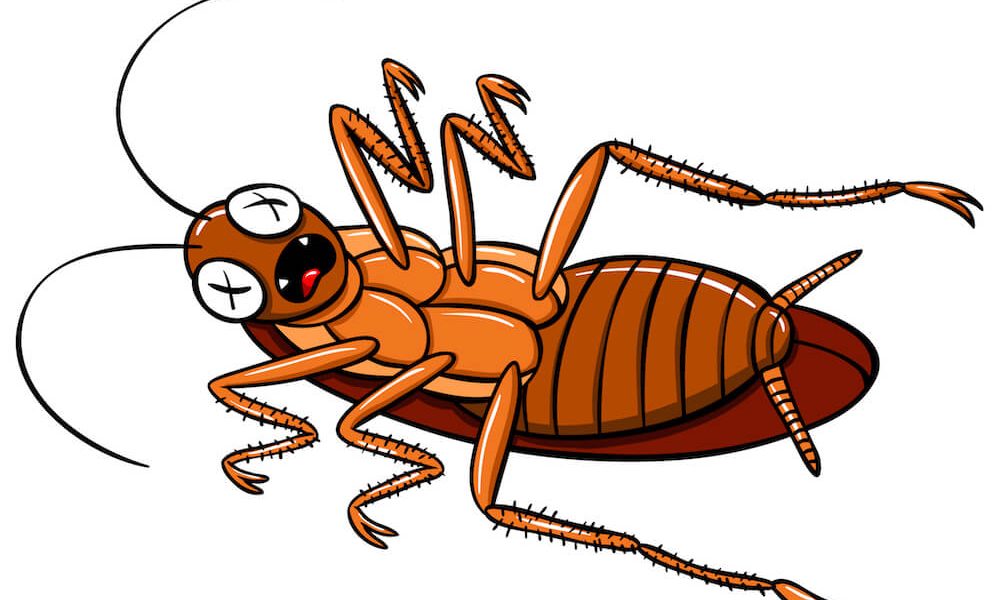 Vector cartoon or a dead cockroach